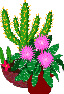 Cactus Flower Clip Art – Clipart Free Download