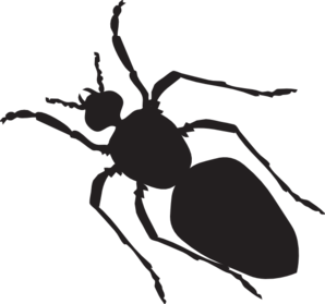 Black Ant Silhouette Clip Art - vector clip art ...