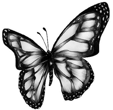 Black Butterfly Clip Art Clipart - Free to use Clip Art Resource