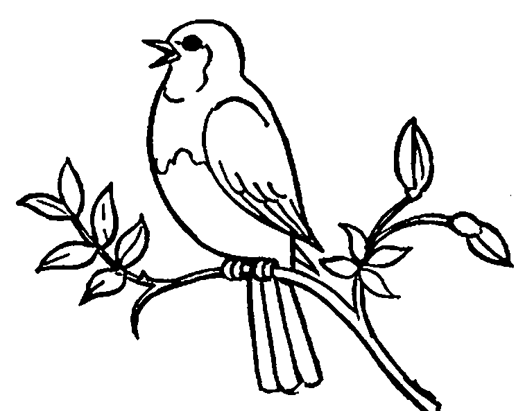 Hd clipart of birds - ClipartFox