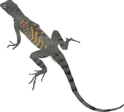 Free Cartoon Lizard - ClipArt Best