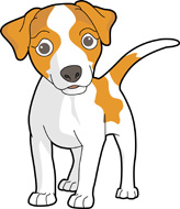 Clipart jack russell dog