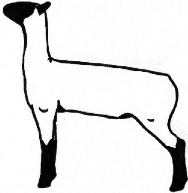 Lamb outline sheep clip art free clipart images image - Clipartix