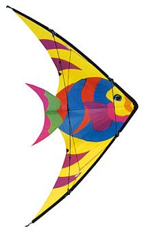 Fish Kites From Around The World
