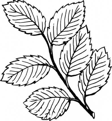 Tree With Leaves Clipart