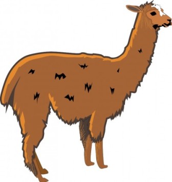 Download Llama 02 Vector Free | Animals