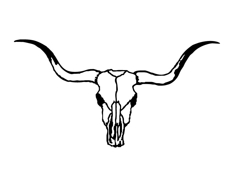 kids coloring pages of longhorn cow skulls