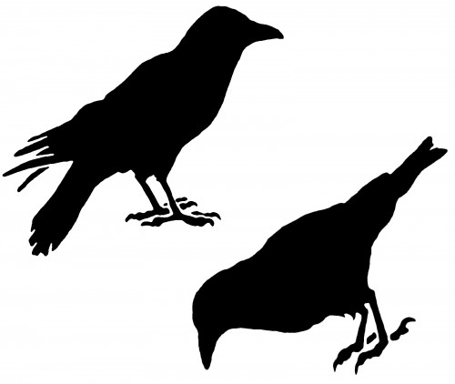 Crows Stencil - ClipArt Best
