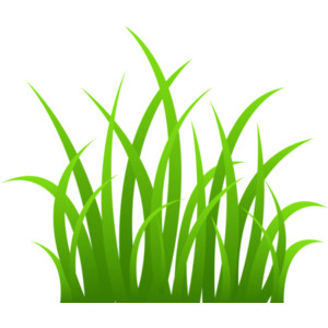 Strands of Green Grass Free Clip Art - Polyvore