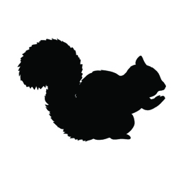 Squirrel Silhouette Stencil | Free Stencil Gallery