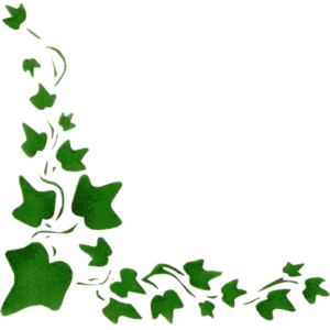 JUNGLE VINE BORDER CLIPART - ClipArt Best