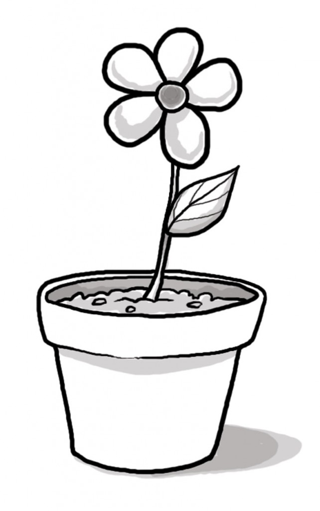 Flower Pot Image