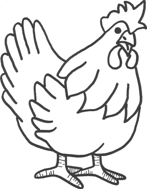 hen drawing Colouring Pages