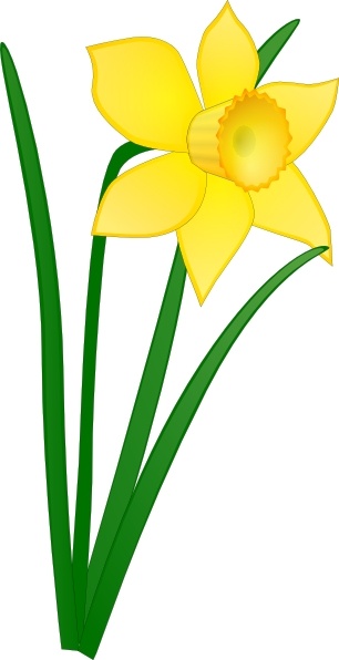 Daffodil clip art Free vector in Open office drawing svg ( .svg ...