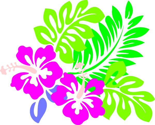 Tropical Flower Drawing Free - ClipArt Best