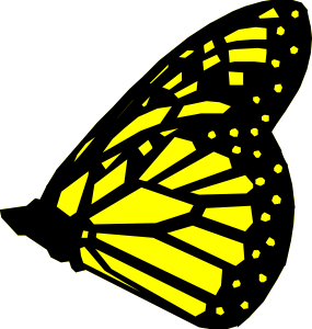 Animated Butterflies Flying - ClipArt Best