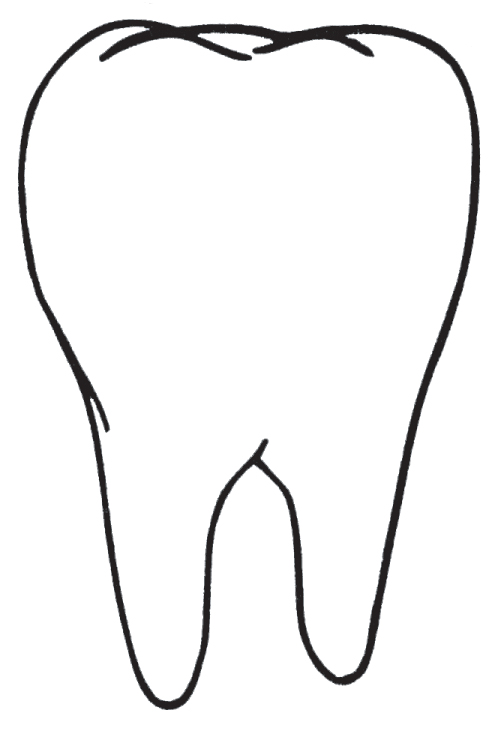 Teeth Outline ClipArt Best