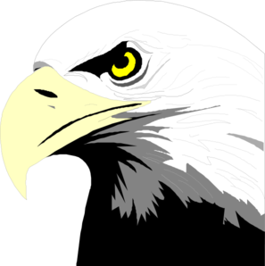 Bald Eagle Head Clip Art - vector clip art online ...