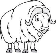 Search Results for musk ox Pictures - Graphics - Illustrations ...