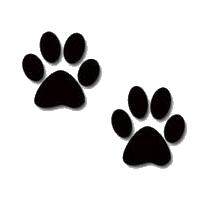 Clipart dog and cat paw prints - ClipartFox