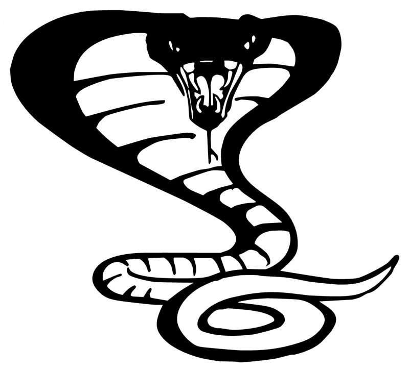 Cobra Snake Logo