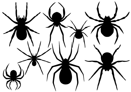 Spider Vector | Free Download Clip Art | Free Clip Art | on ...