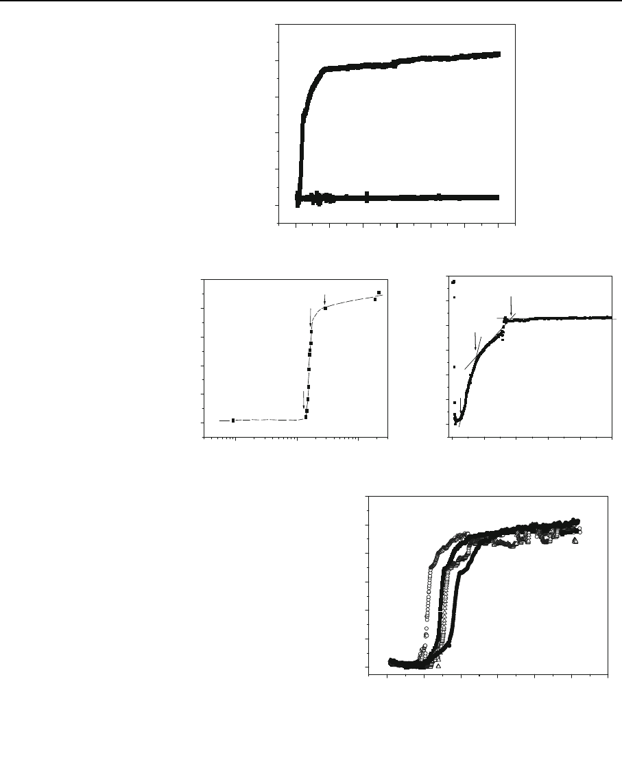 Sedimentation of Fe3O4 nanosized magnetic particles in water ...