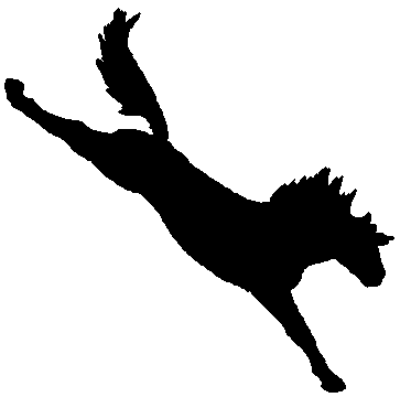 Bucking Horse Clip Art