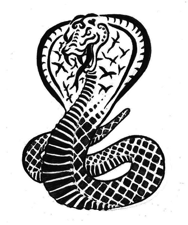 Cobra Snake Illustration Tattoo Pictures to Pin - ClipArt Best ...