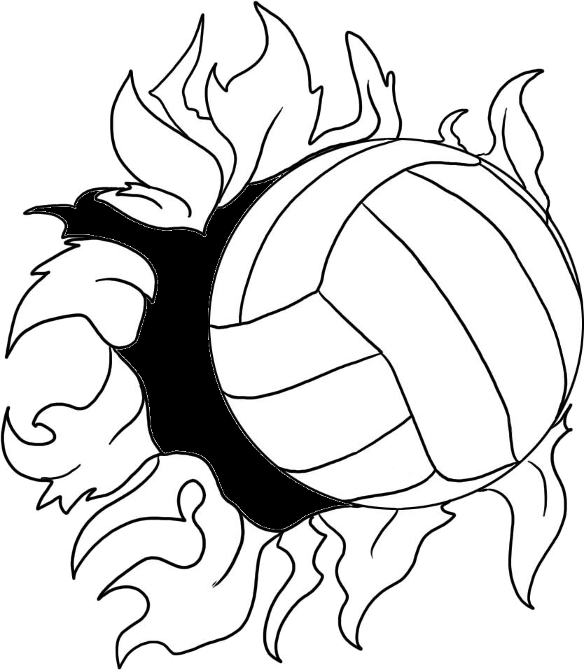 A Picture Of A Volleyball