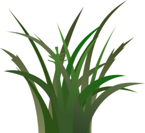 Green Grass clip art - vector clip art online, royalty free ...