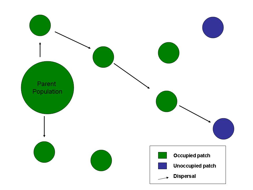 Biological dispersal