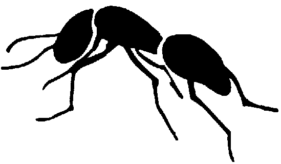 Cartoon Ant Drawing - ClipArt Best