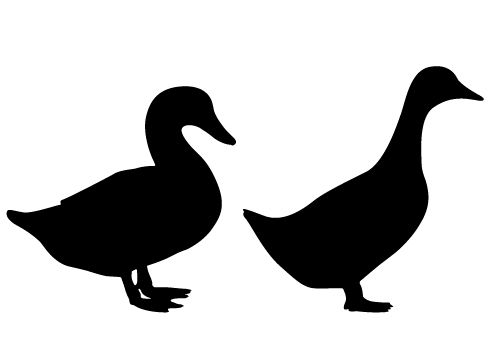 Ducks clipart silhouette