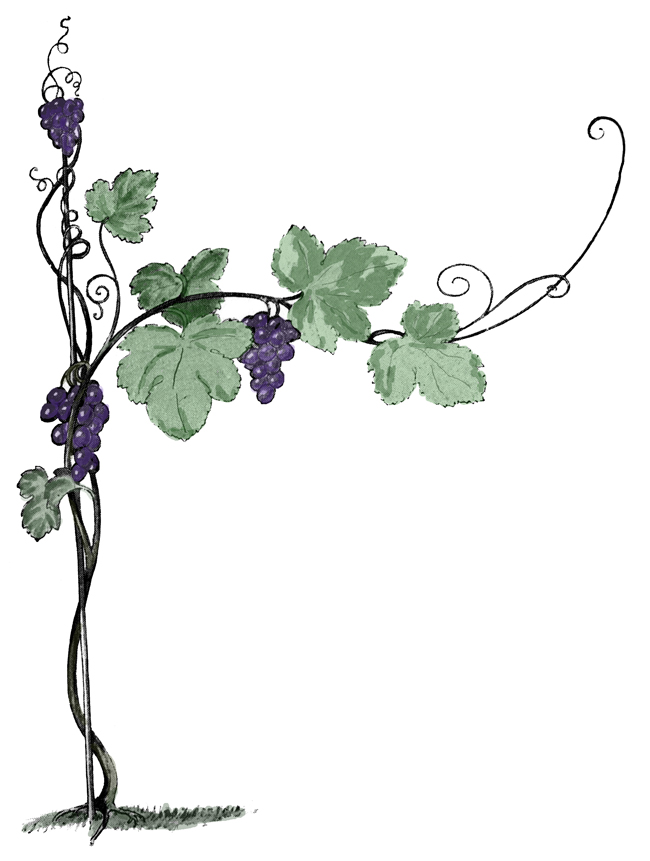 I Am The Vine Clipart