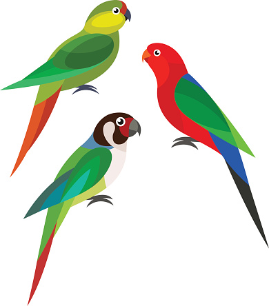 Parakeet Clip Art, Vector Images & Illustrations