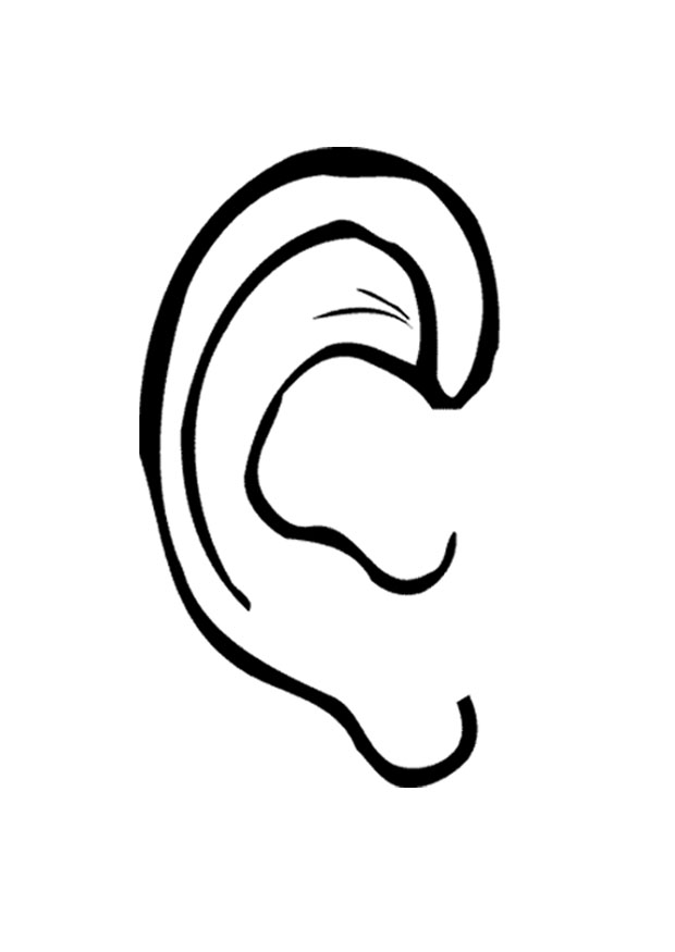 Ear clipart free clipart image #12126