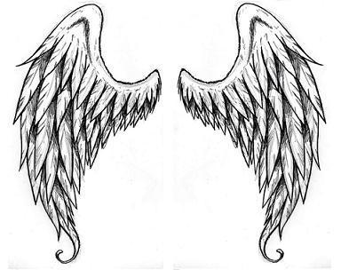 White Angel Wings Wallpaper - ClipArt Best