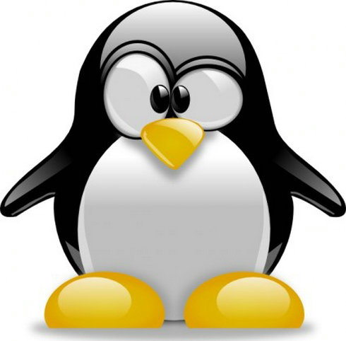 Tux Penguin Clip Art | Free Vector Download - Graphics,