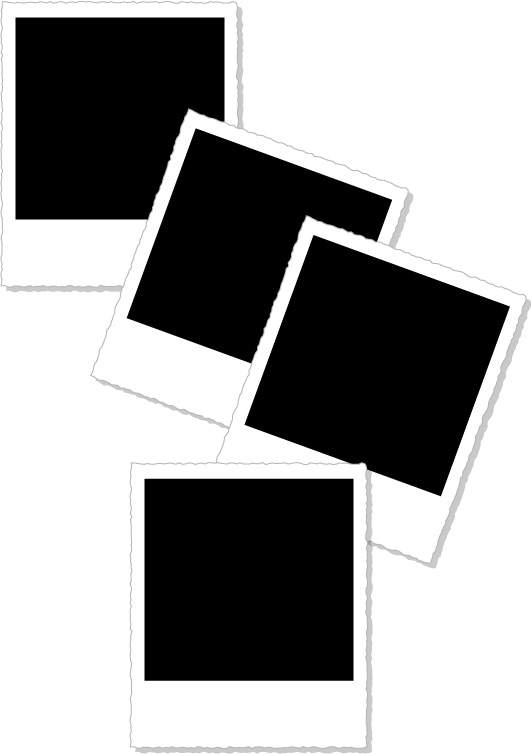 Polaroid photographs of vector-style material Free Vector