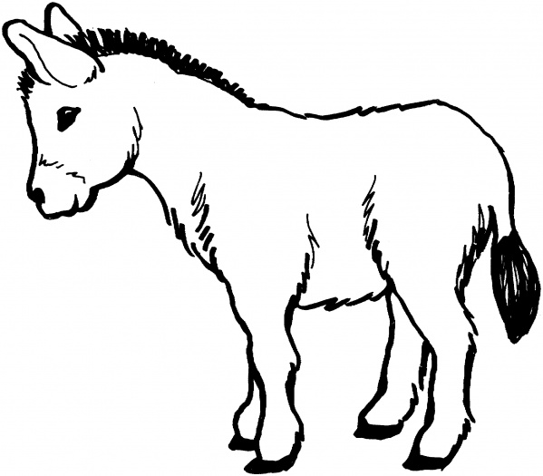 Donkey Drawing - ClipArt Best