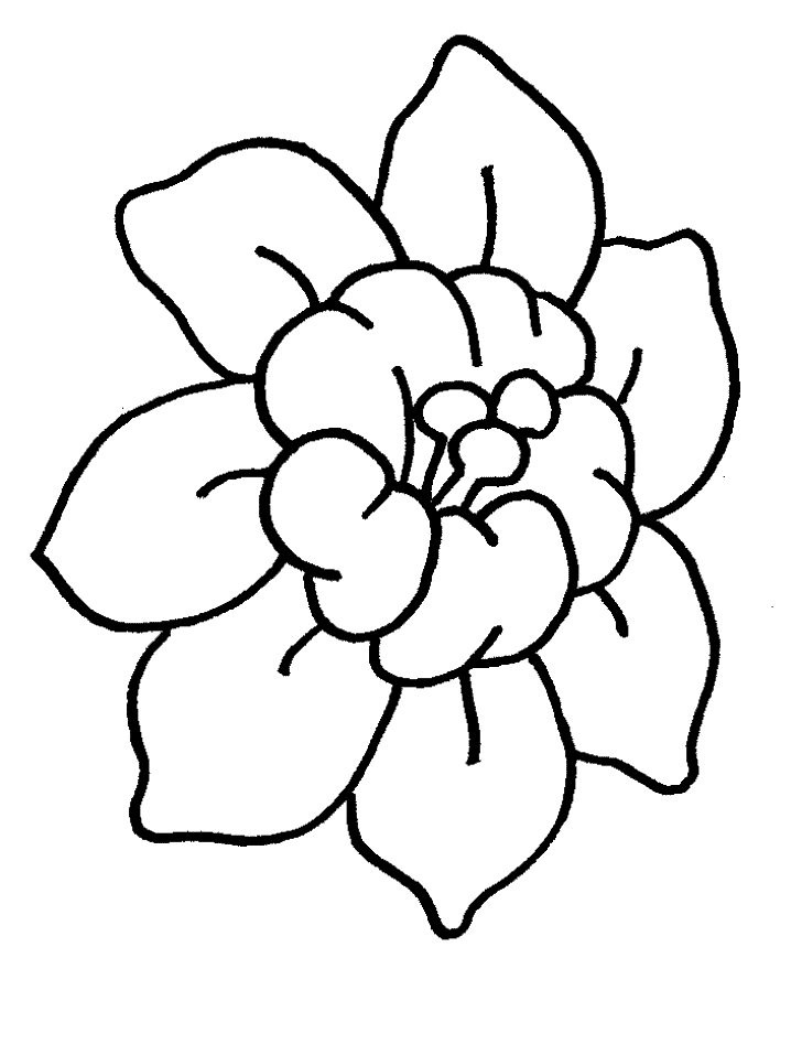 Flowers To Print And Color - AZ Coloring Pages