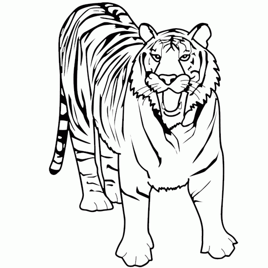 Line Drawings Of Animals | Free Download Clip Art | Free Clip Art ...