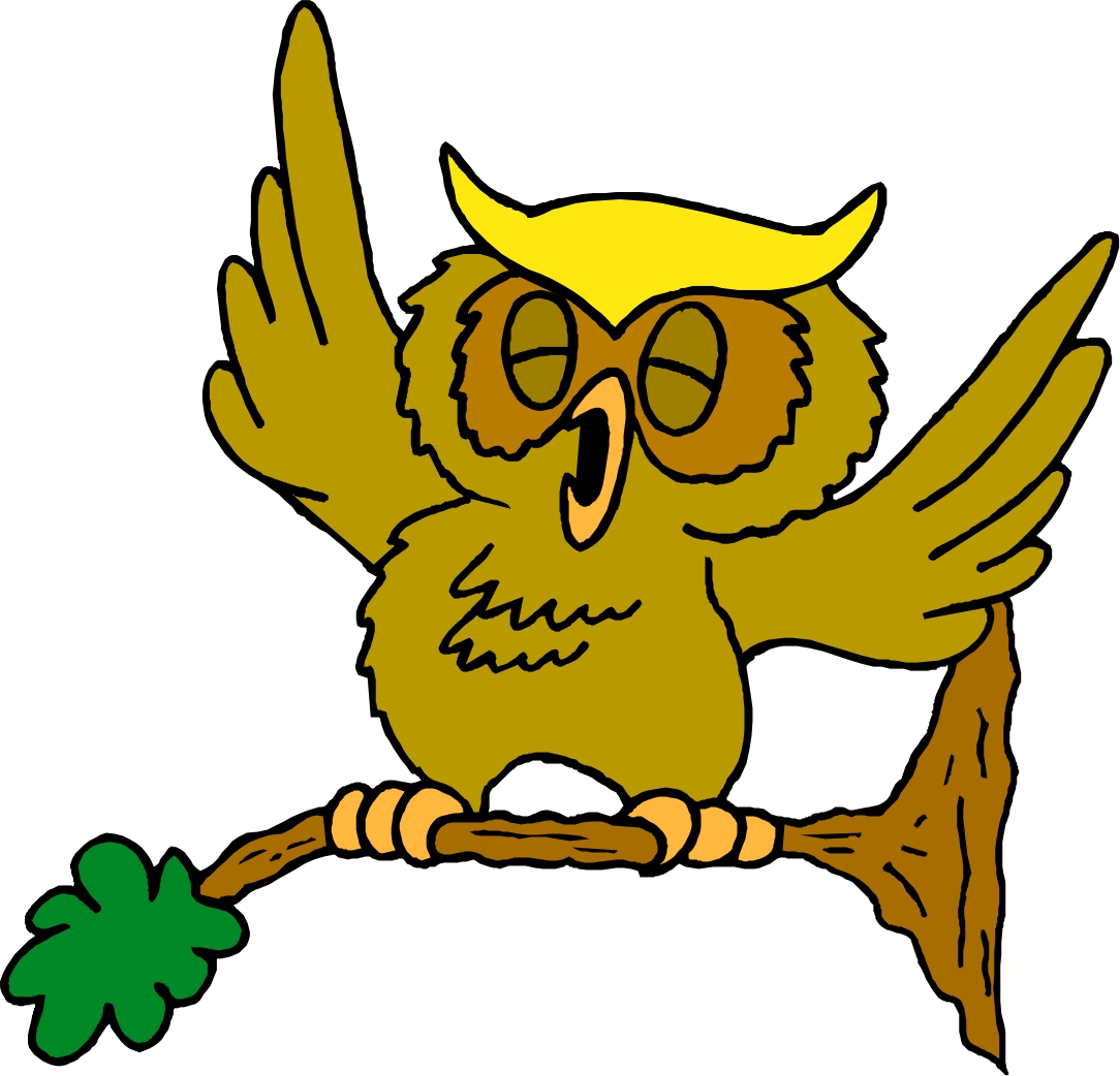 wise owl cartoon