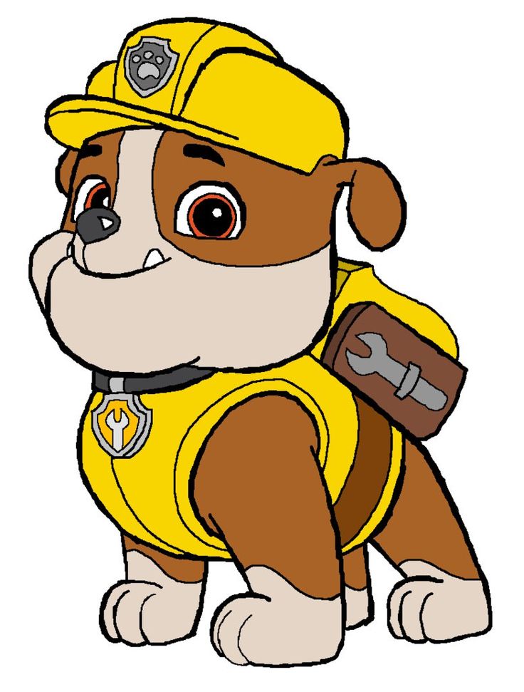 paw patrol wala cartoon paw patrol wala cartoon