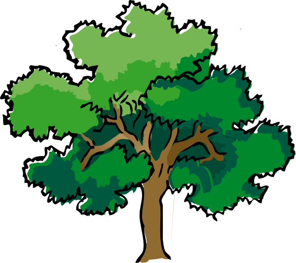 Gambar Kartun Pohon Pohon ClipArt Best - GambarmuGo