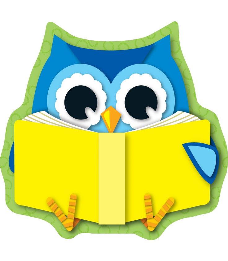 Owl Reading Clipart