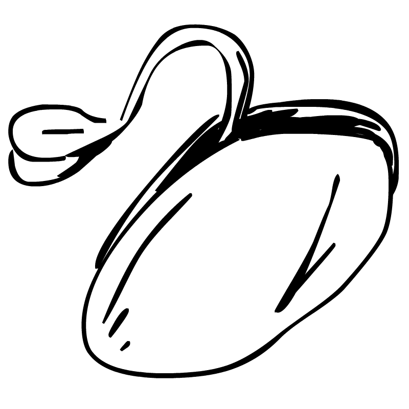 Bean Flower White And Black Clipart - ClipArt Best