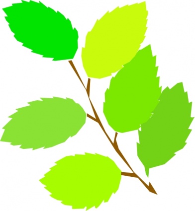 Tree vine with three branches clipart