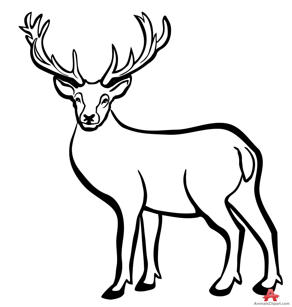 Antelope clipart black and white